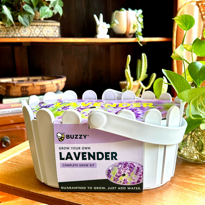 Lavender Basket Grow Kit | White