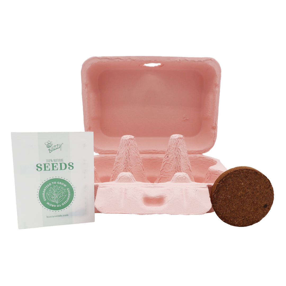 Sunflower & Daisy Grow Kit | Colorful Egg Carton (2 Pack)