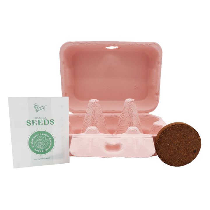 Sunflower & Daisy Grow Kit | Colorful Egg Carton (2 Pack)
