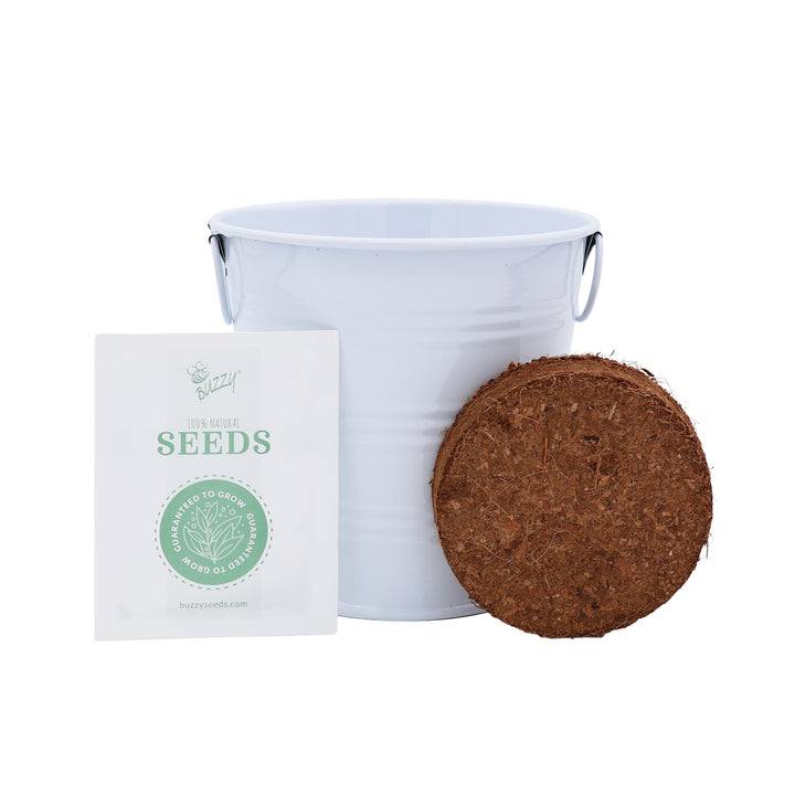 Flower Grow Kit | Mini Rose & Lavender (2 Pack)