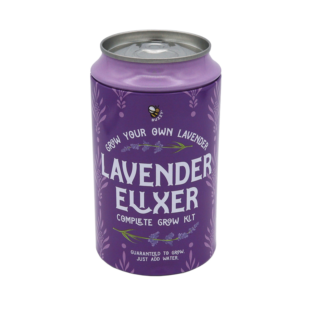 Soda Can Grow Kits (Set of 6) | Dizzy Daisy, Lavender Elixir & Pansy Pop