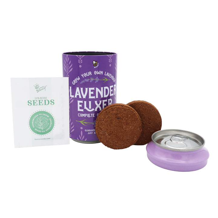 Soda Can Grow Kits (Set of 6) | Dizzy Daisy, Lavender Elixir & Pansy Pop