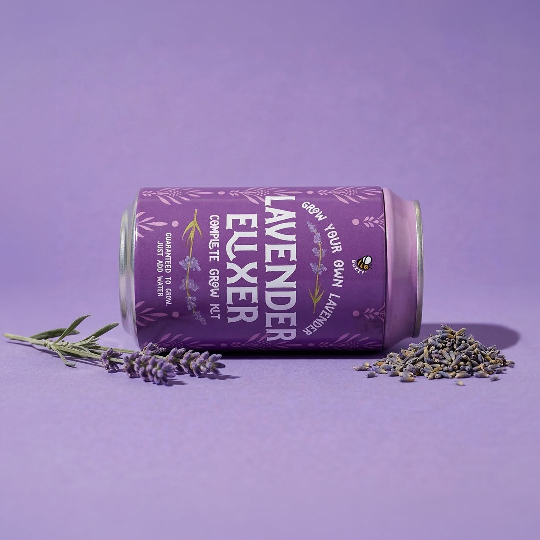 Soda Can Flower Grow Kit | Lavender, Pansy, & Daisy (6 Pack)