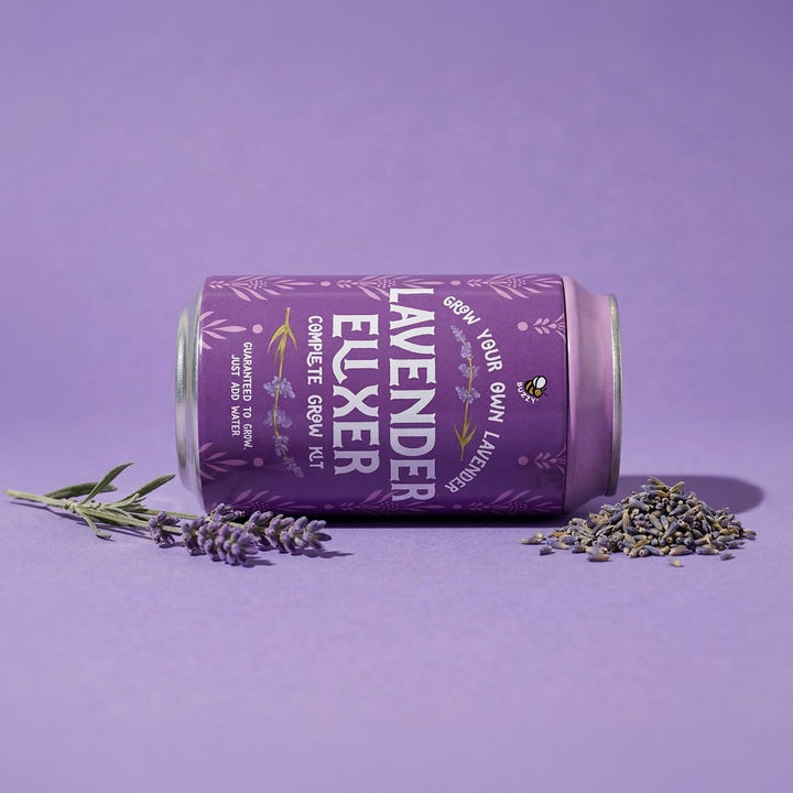 Soda Can Flower Grow Kit | Lavender, Pansy, & Daisy (6 Pack)