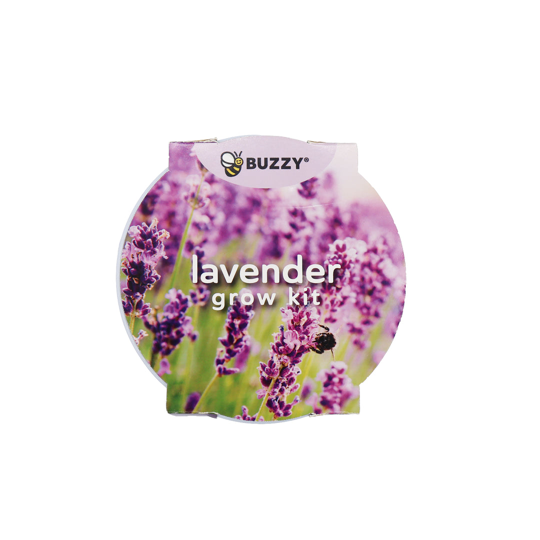 Flower Grow Kit | Mini Rose & Lavender (2 Pack)