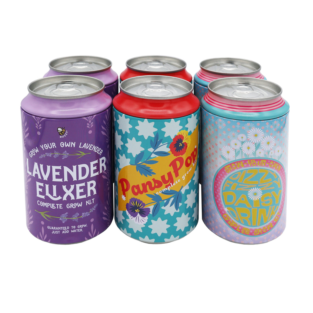 Soda Can Grow Kits (Set of 6) | Dizzy Daisy, Lavender Elixir & Pansy Pop