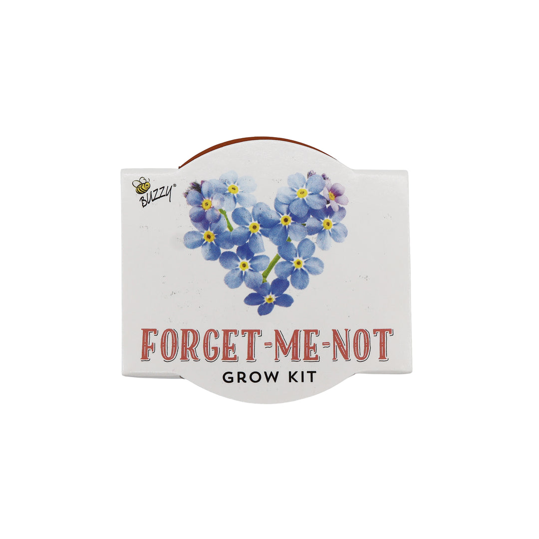 Love Mini Terracotta Pots | Forget-Me-Not (12 Pack)