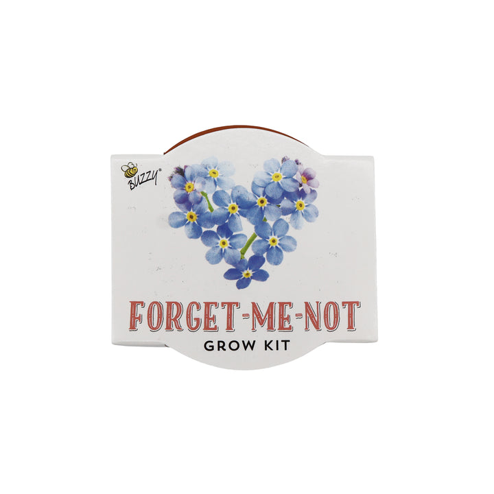 Love Mini Terracotta Pots | Forget-Me-Not (12 Pack)