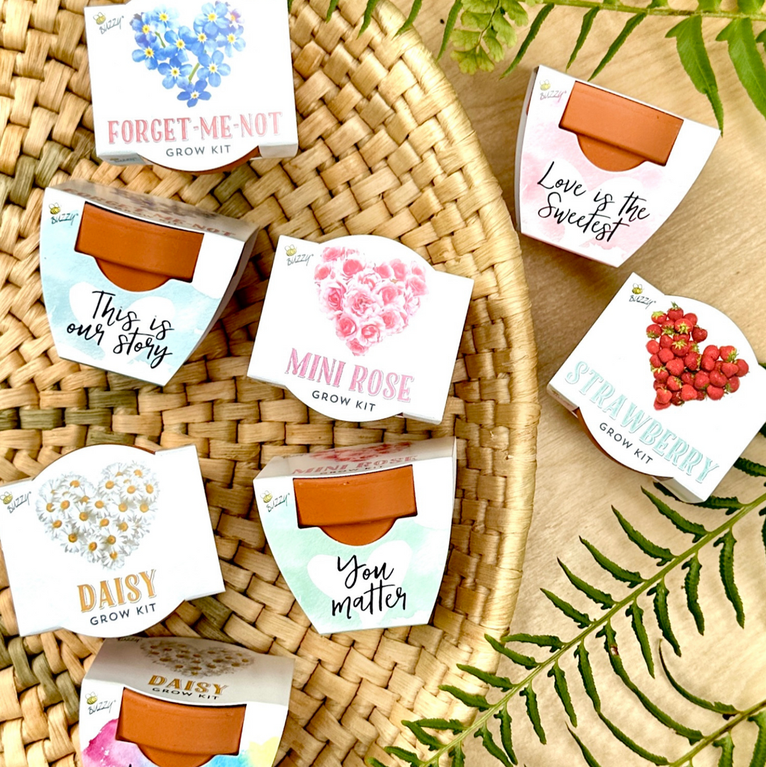Collection of mini grow kit boxes with floral designs and text on a woven surface.