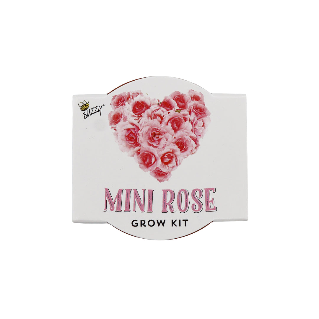 Love Mini Terracotta Pots | Mini Rose (12 Pack)