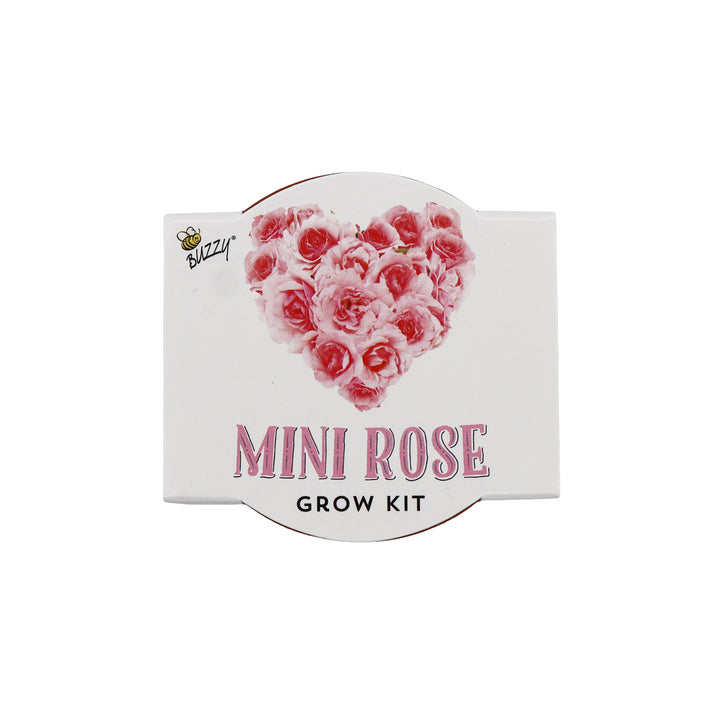 Love Mini Terracotta Pots | Mini Rose (12 Pack)