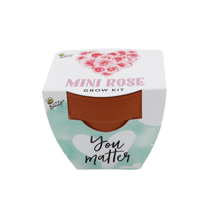 Love Mini Terracotta Pots | Mini Rose (12 Pack)