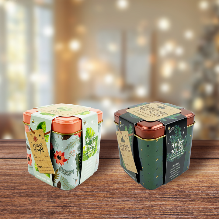 Festive Spruce & Mint Grow Kit | 2 Decorative Tins