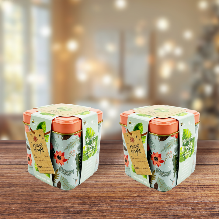 Holiday Mint Grow Kit | 2 Decorative Tins