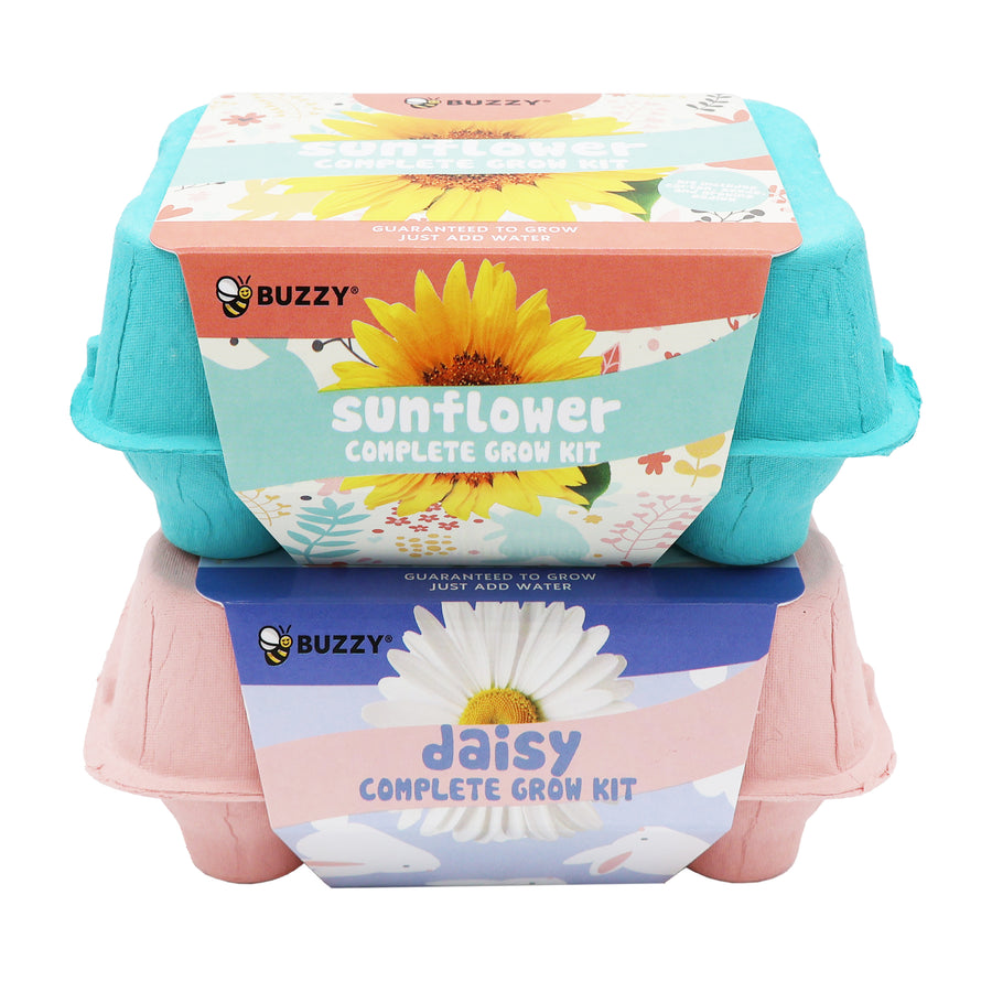 planting sunflower seeds in egg cartons Egg Carton Grow Kit for Kids