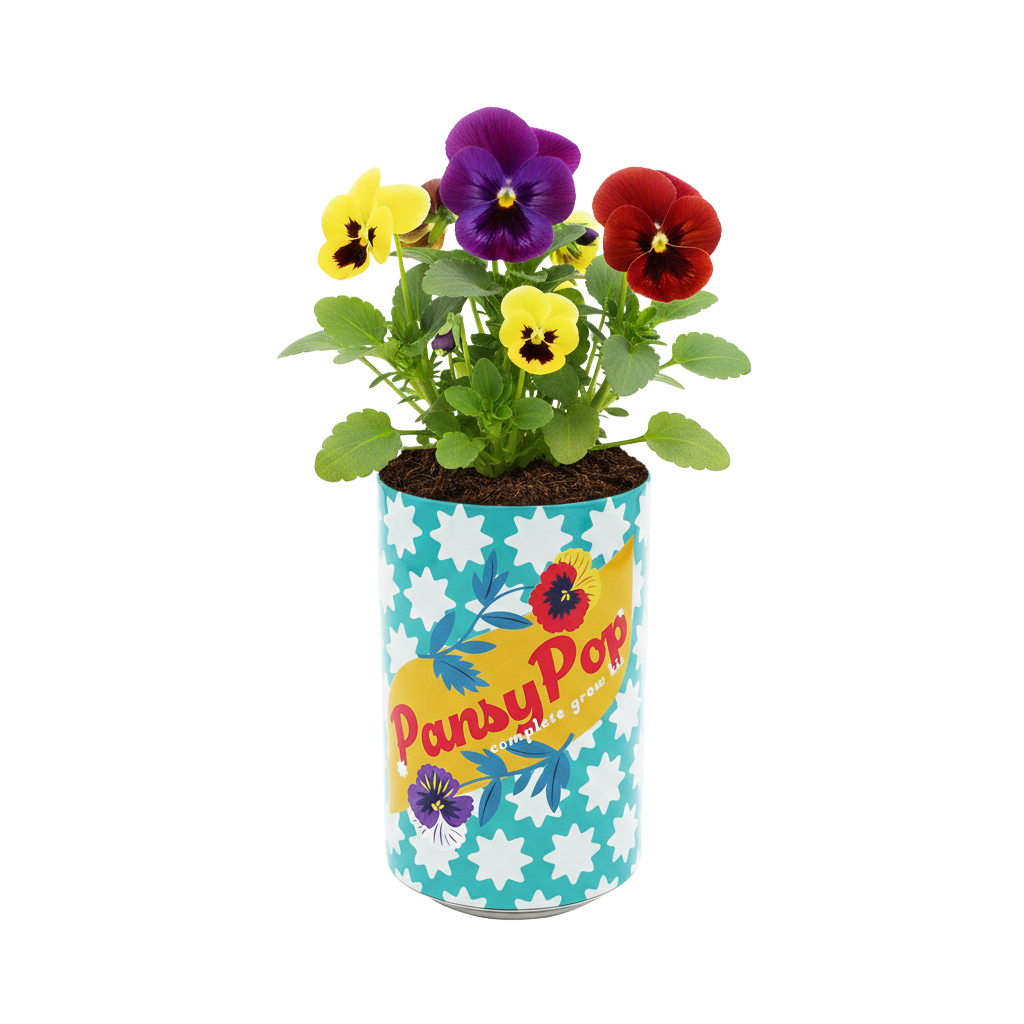 Soda Can Flower Grow Kit | Pansy (6 Pack)