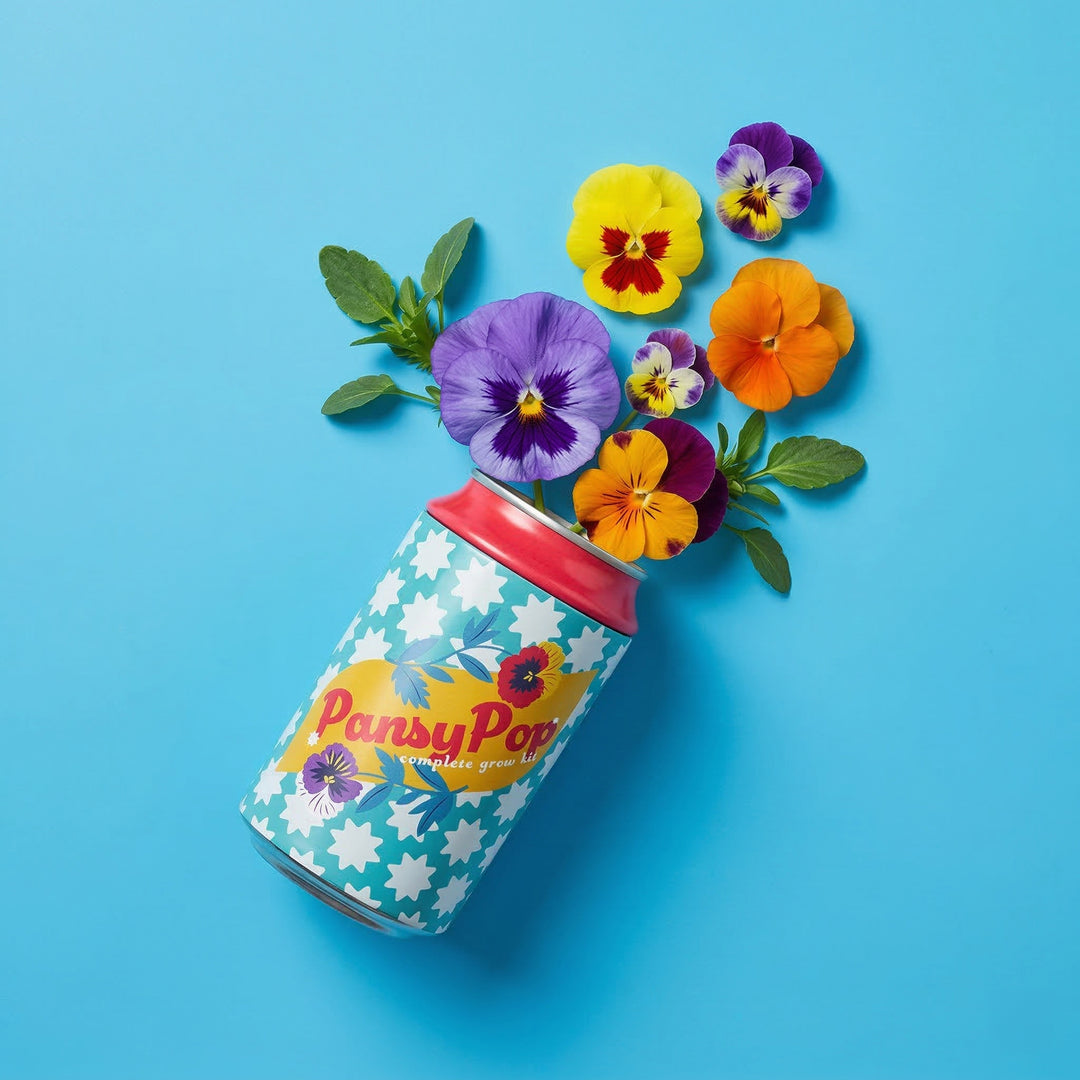 Soda Can Flower Grow Kit | Lavender, Pansy, & Daisy (6 Pack)