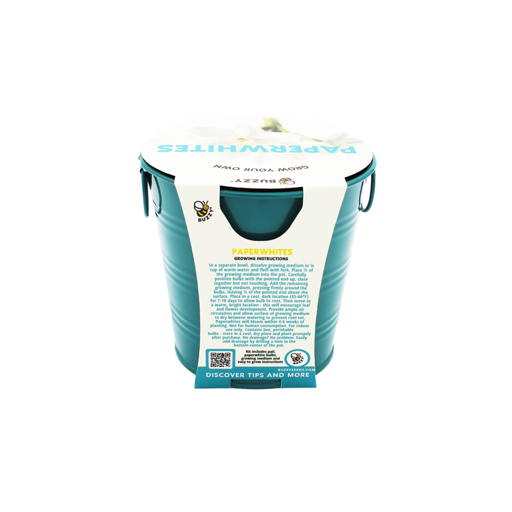 Holiday Paperwhites Grow Kit | Indoor Bulb Starter with Teal Pail