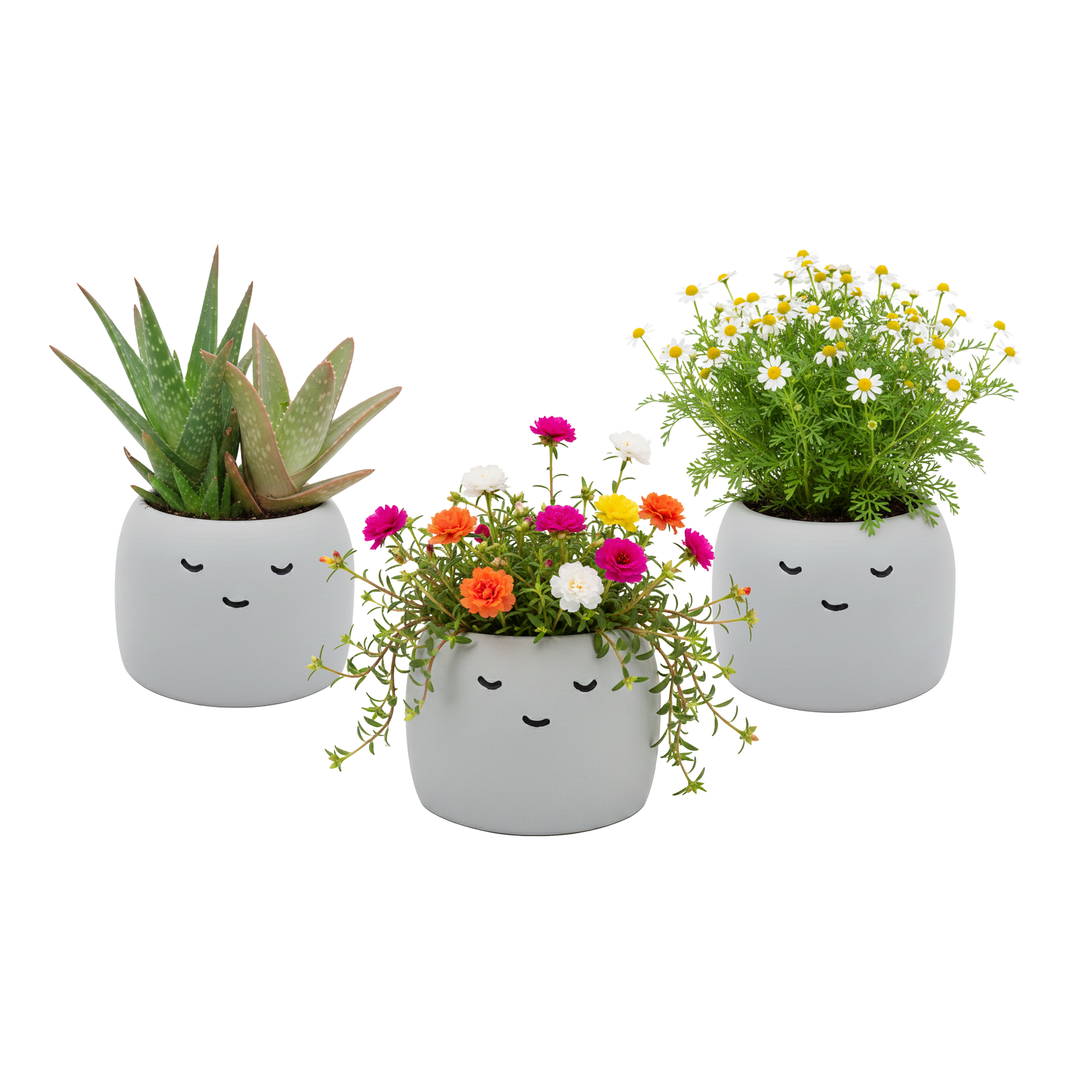 Peaceful Emoji Pot Grow Kit Trio (Set of 3) | Cute Plants for Desks, Dorms & Gifts