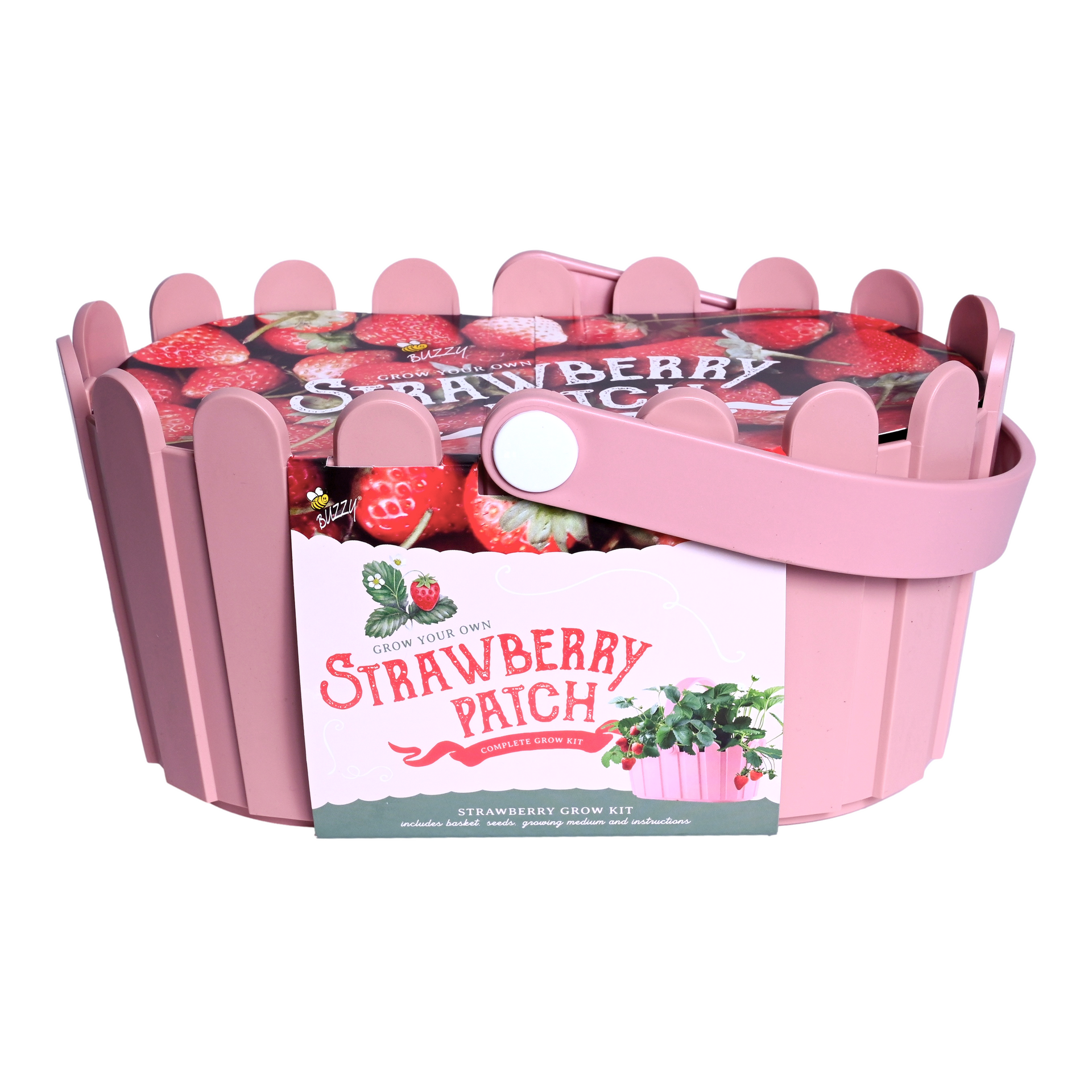 Strawberry Grow Kit in Pink Basket Planter – Buzzy Seeds