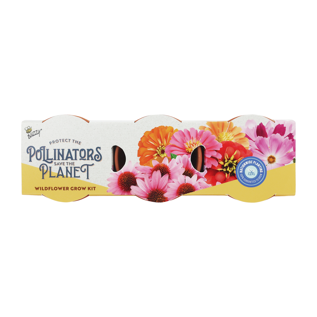Save The Bees Terracotta Trio Pollinator Grow Kit 3-Pack | Coneflower, Zinnia, Cosmos
