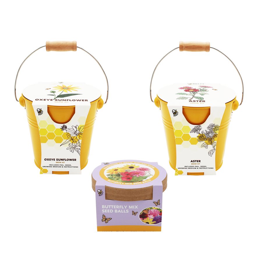 wildflower seeds for containers Pollinator Flower Grow Kit