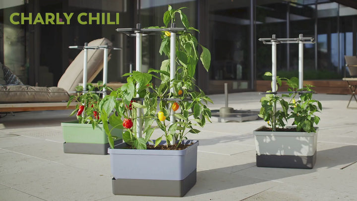 Self-Watering Chili Pepper Planter with Trellis | Vertical Garden for Small Spaces