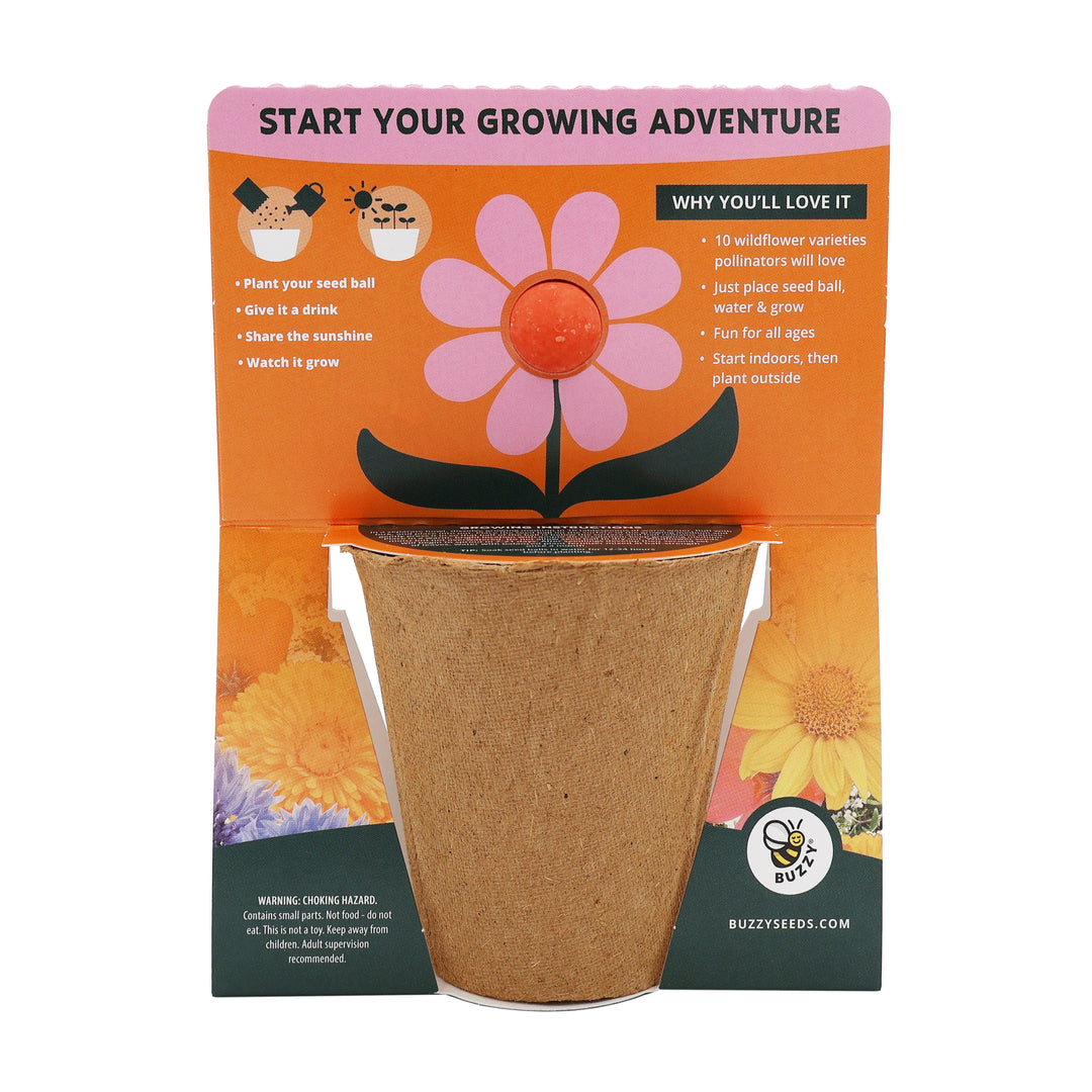 Wildflower Seed Ball Grow Kit (Set of 6) | Pollinator-Friendly Flowers for Gardens & Patios