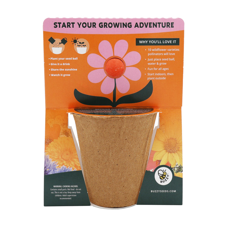 Wildflower Seed Ball Grow Kit (Set of 6) | Pollinator-Friendly Flowers for Gardens & Patios