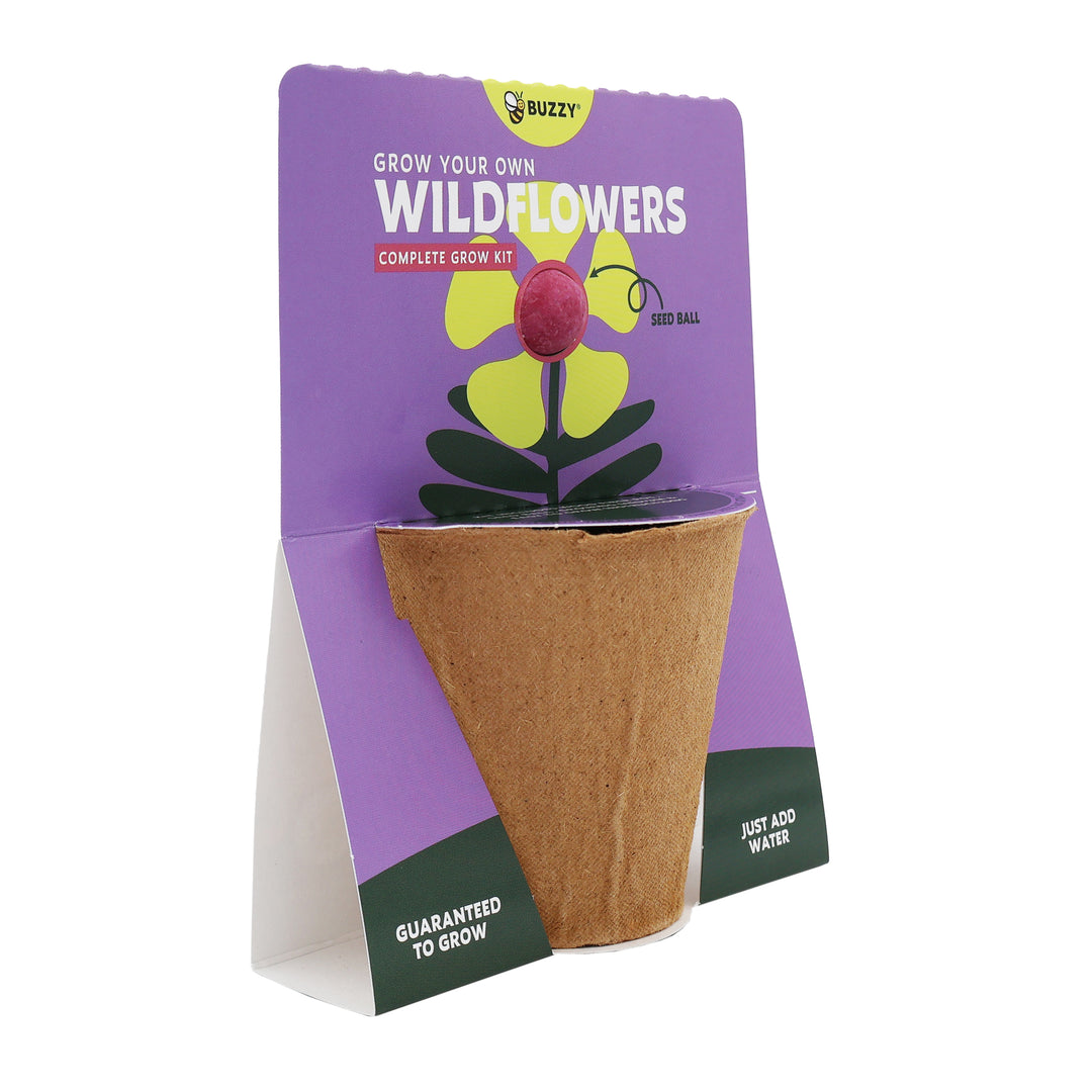 Wildflower Seed Ball Grow Kit (Set of 6) | Pollinator-Friendly Flowers for Gardens & Patios