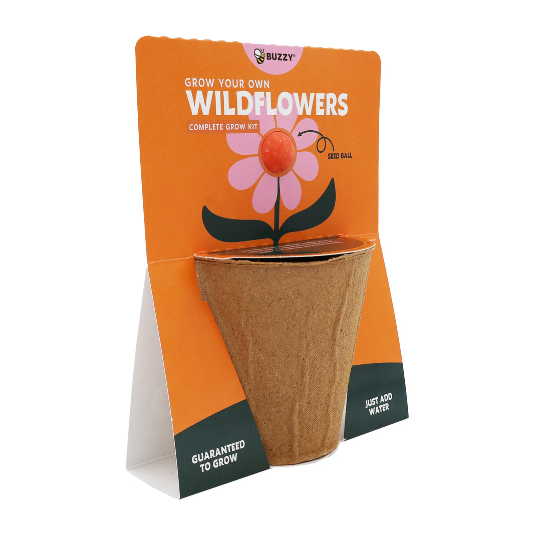 Wildflower Seed Ball Grow Kit (Set of 6) | Pollinator-Friendly Flowers for Gardens & Patios