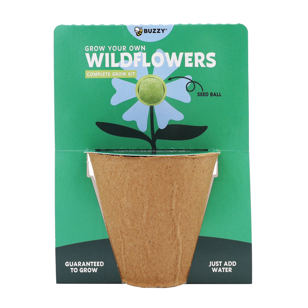 Wildflower Seed Ball Grow Kit (Set of 6) | Pollinator-Friendly Flowers for Gardens & Patios