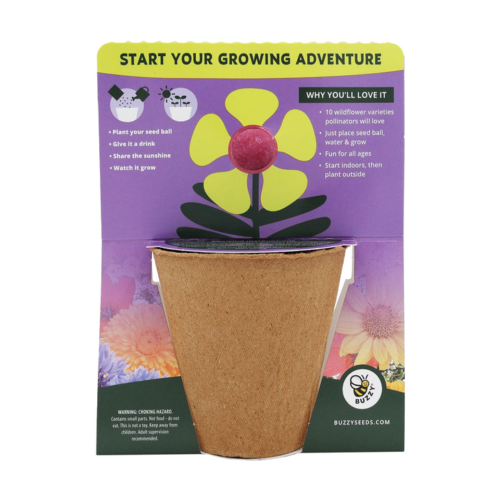 Wildflower Seed Ball Grow Kit (Set of 6) | Pollinator-Friendly Flowers for Gardens & Patios