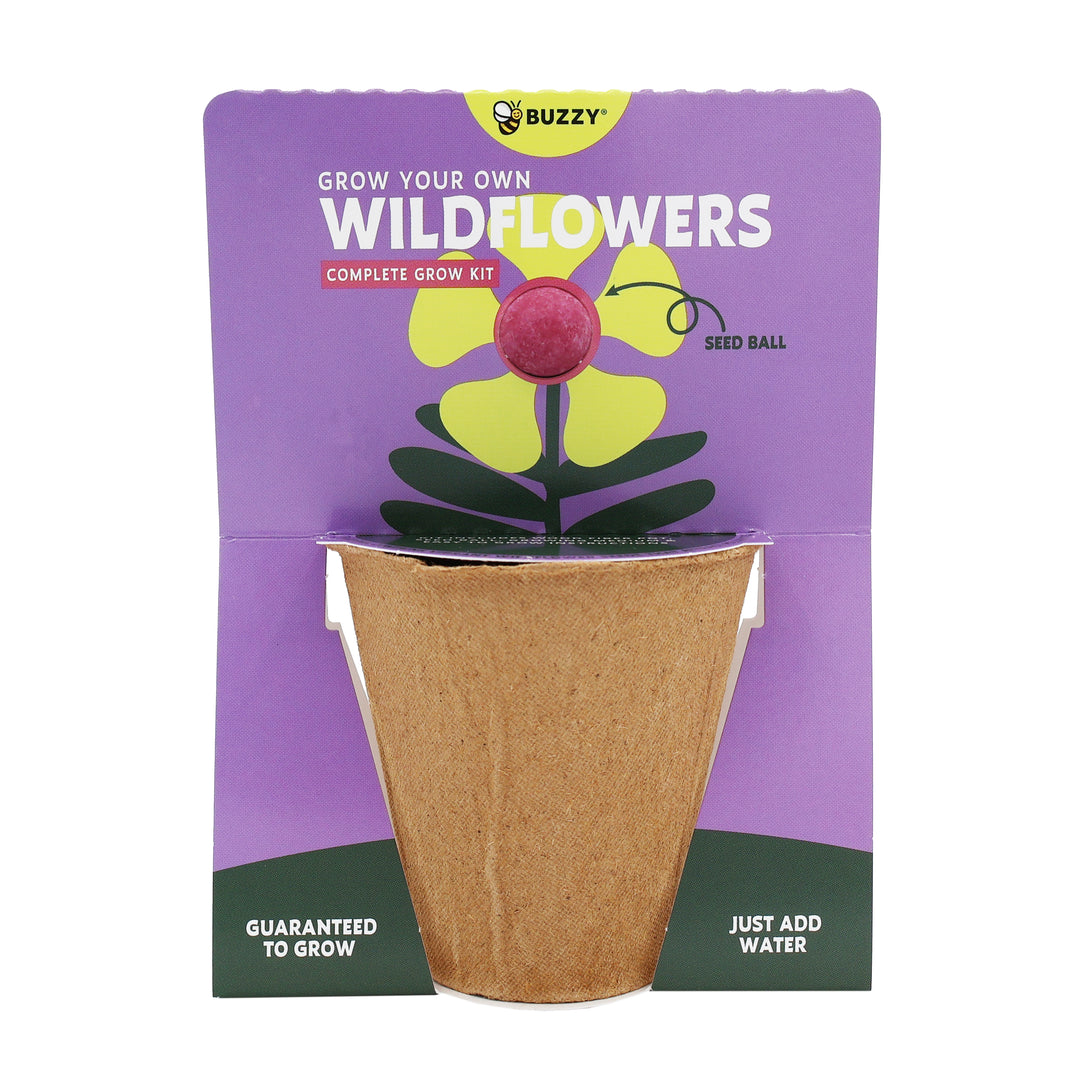 Wildflower Seed Ball Grow Kit (Set of 6) | Pollinator-Friendly Flowers for Gardens & Patios