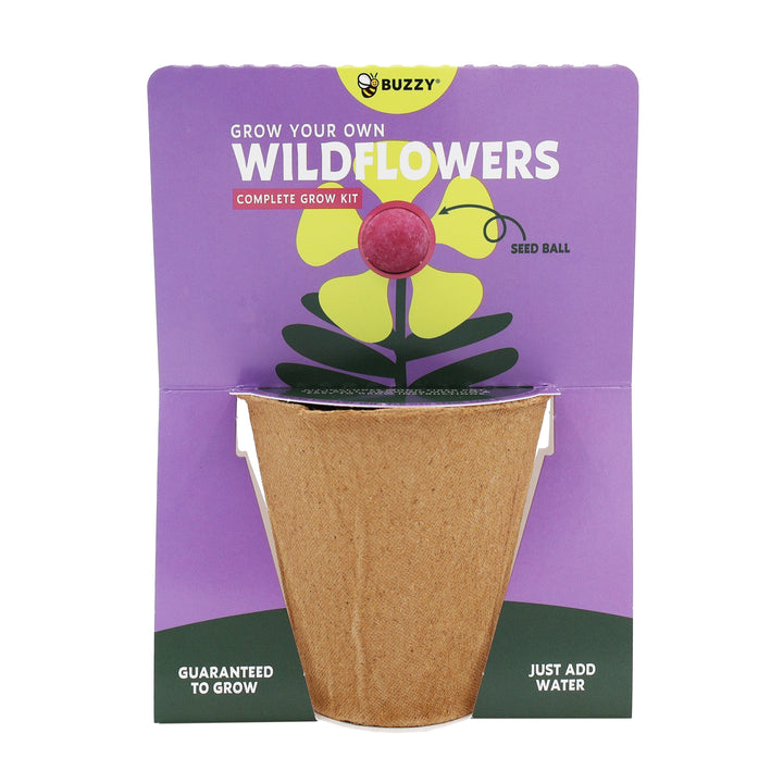 Wildflower Seed Ball Grow Kit (Set of 6) | Pollinator-Friendly Flowers for Gardens & Patios