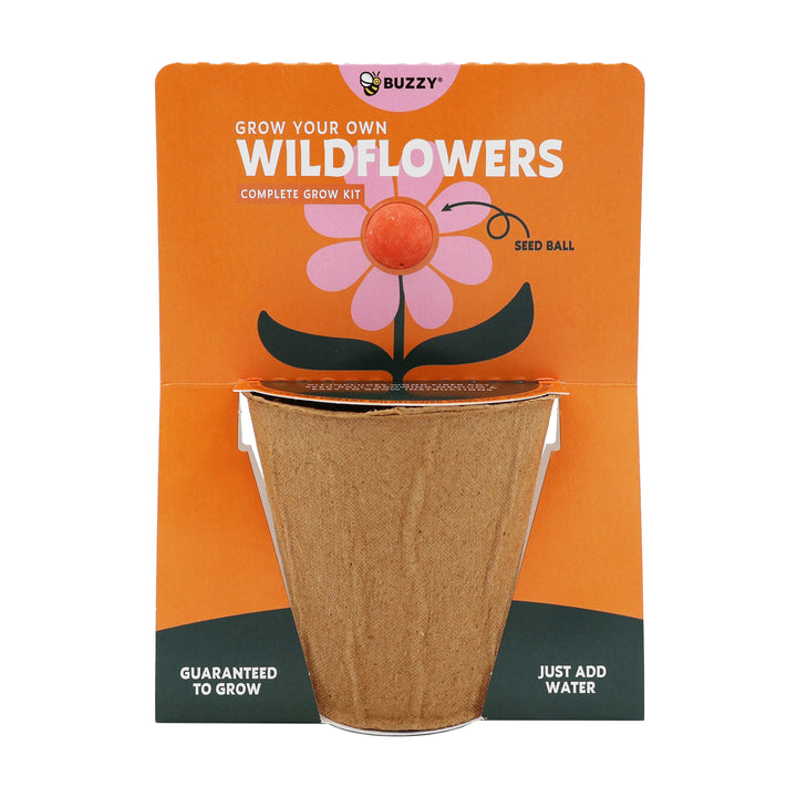 Wildflower Seed Ball Grow Kit (Set of 6) | Pollinator-Friendly Flowers for Gardens & Patios