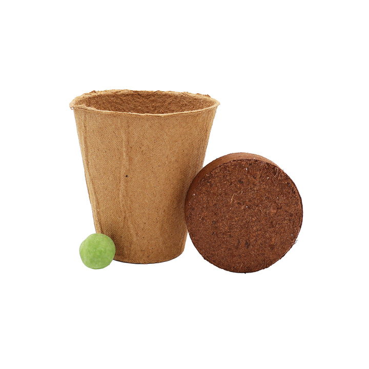 Wildflower Seed Ball Grow Kit (Set of 6) | Pollinator-Friendly Flowers for Gardens & Patios