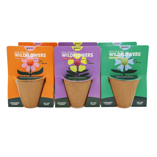 Wildflower Seed Ball Grow Kit | Pollinator Mix (6 Pack)