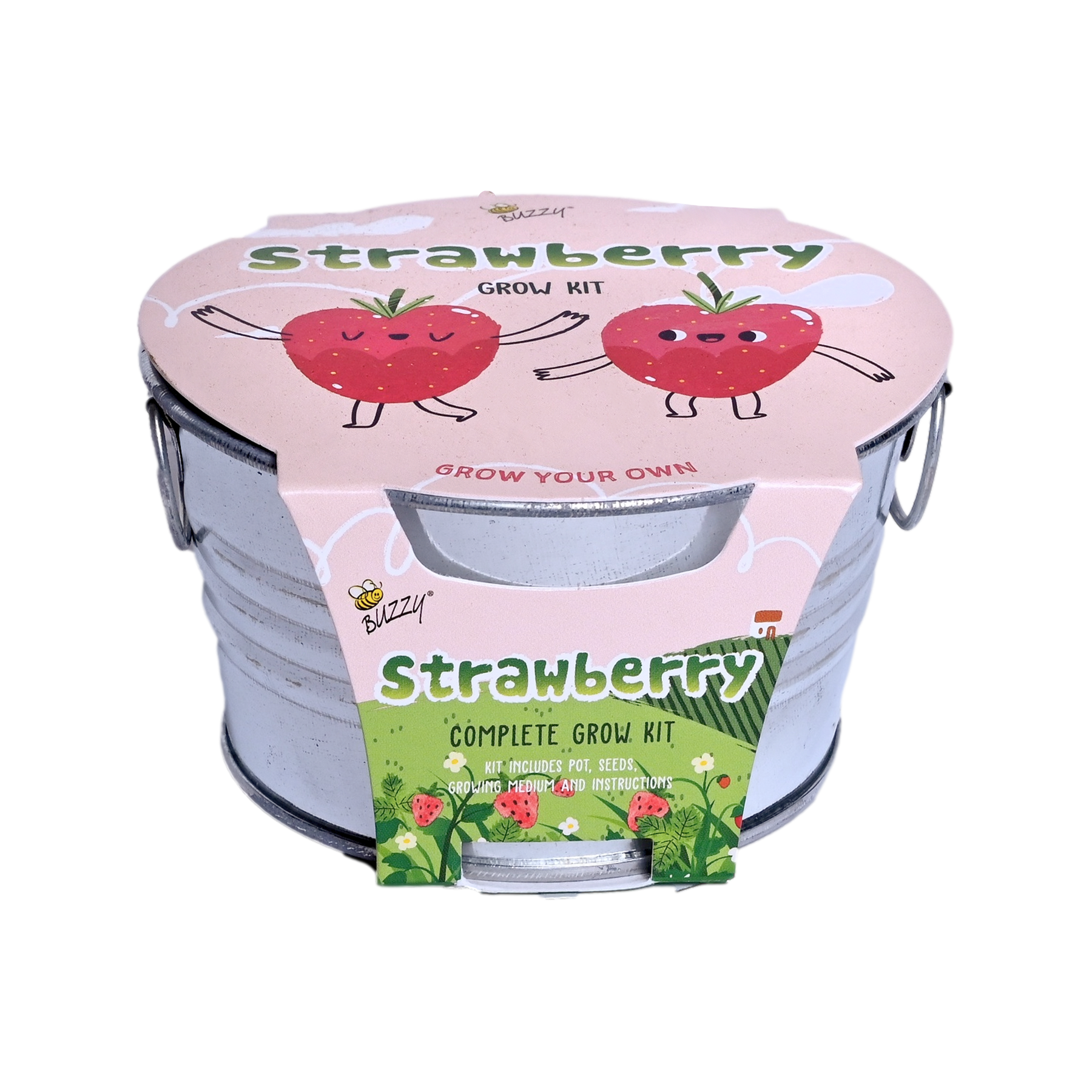 buzzy seeds strawberry grow kit instructions Buzzy Kids Mini Basin Strawberry Grow Kit