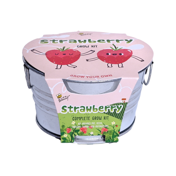 Kids Strawberry Mini Basin Grow Kit | Alpine Strawberry