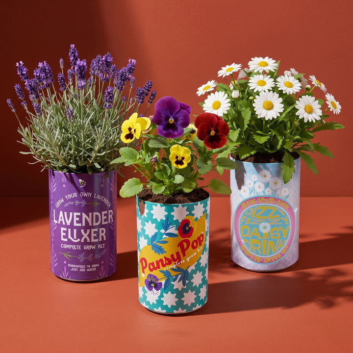 Soda Can Flower Grow Kit | Daisy (6 Pack)