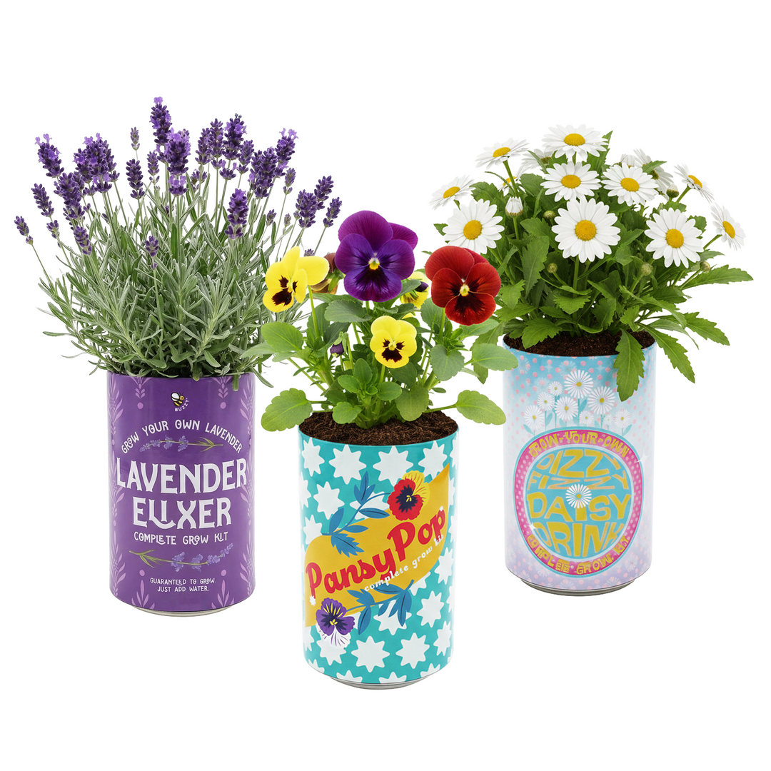 Soda Can Flower Grow Kit | Lavender, Pansy, & Daisy (6 Pack)