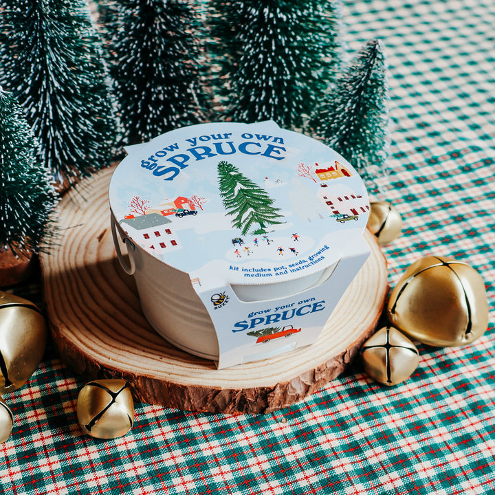 Christmas Tree Grow Kit | White Mini Basin