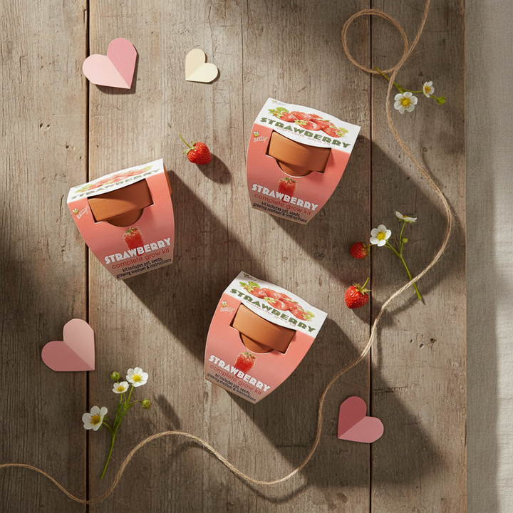 Strawberry Grow Kits | Classic Mini Terracotta Pots (12 Pack)