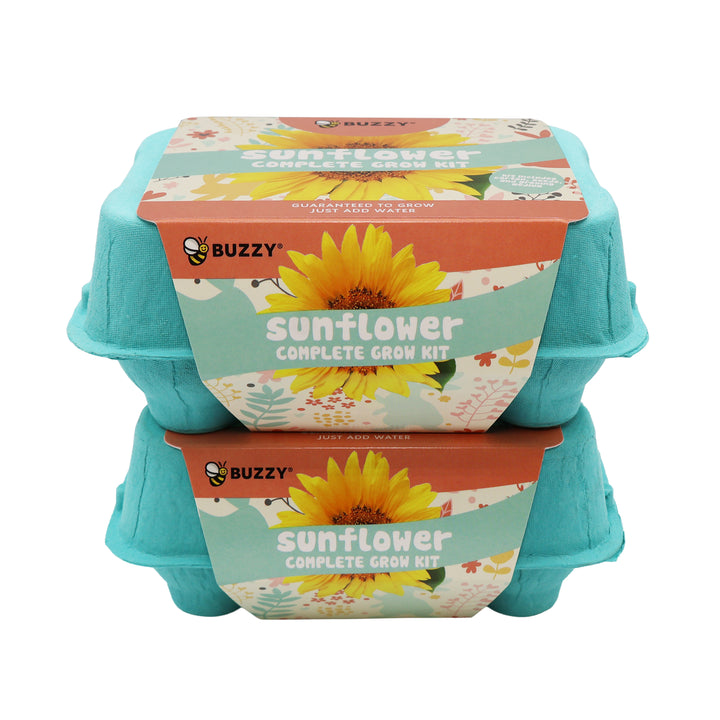 Sunflower Grow Kit | Colorful Egg Carton (2 Pack)