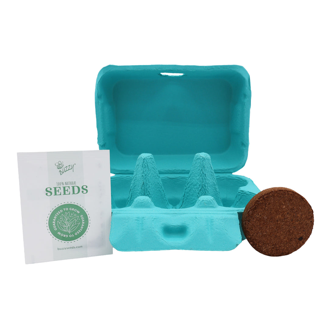 Sunflower & Daisy Grow Kit | Colorful Egg Carton (2 Pack)