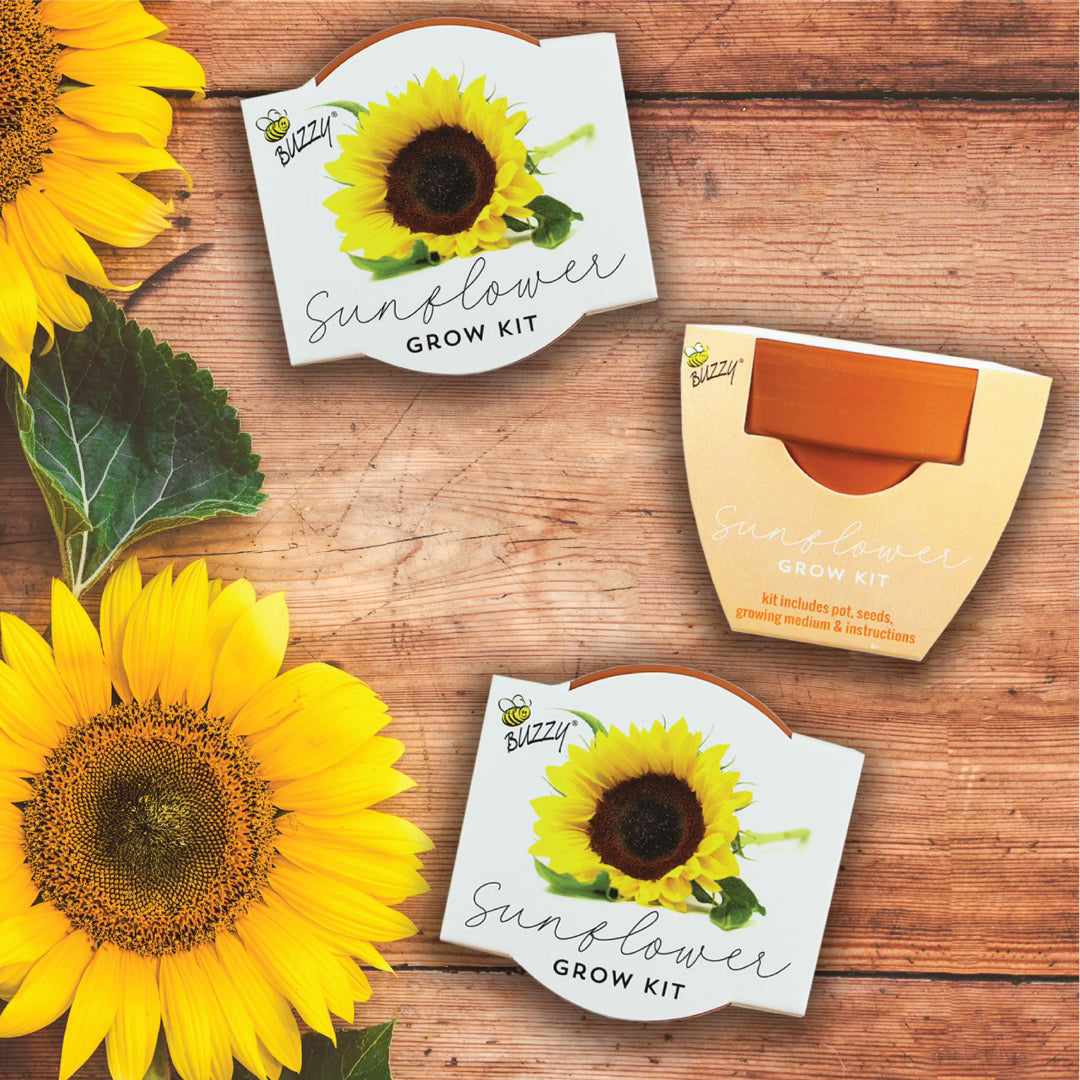 Mini terracotta grow kits iwth sunflower seeds.