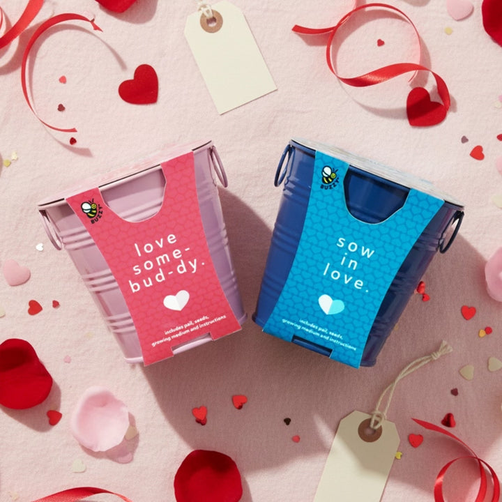 Flower Pail Duo | Mini Rose & Forget-Me-Not