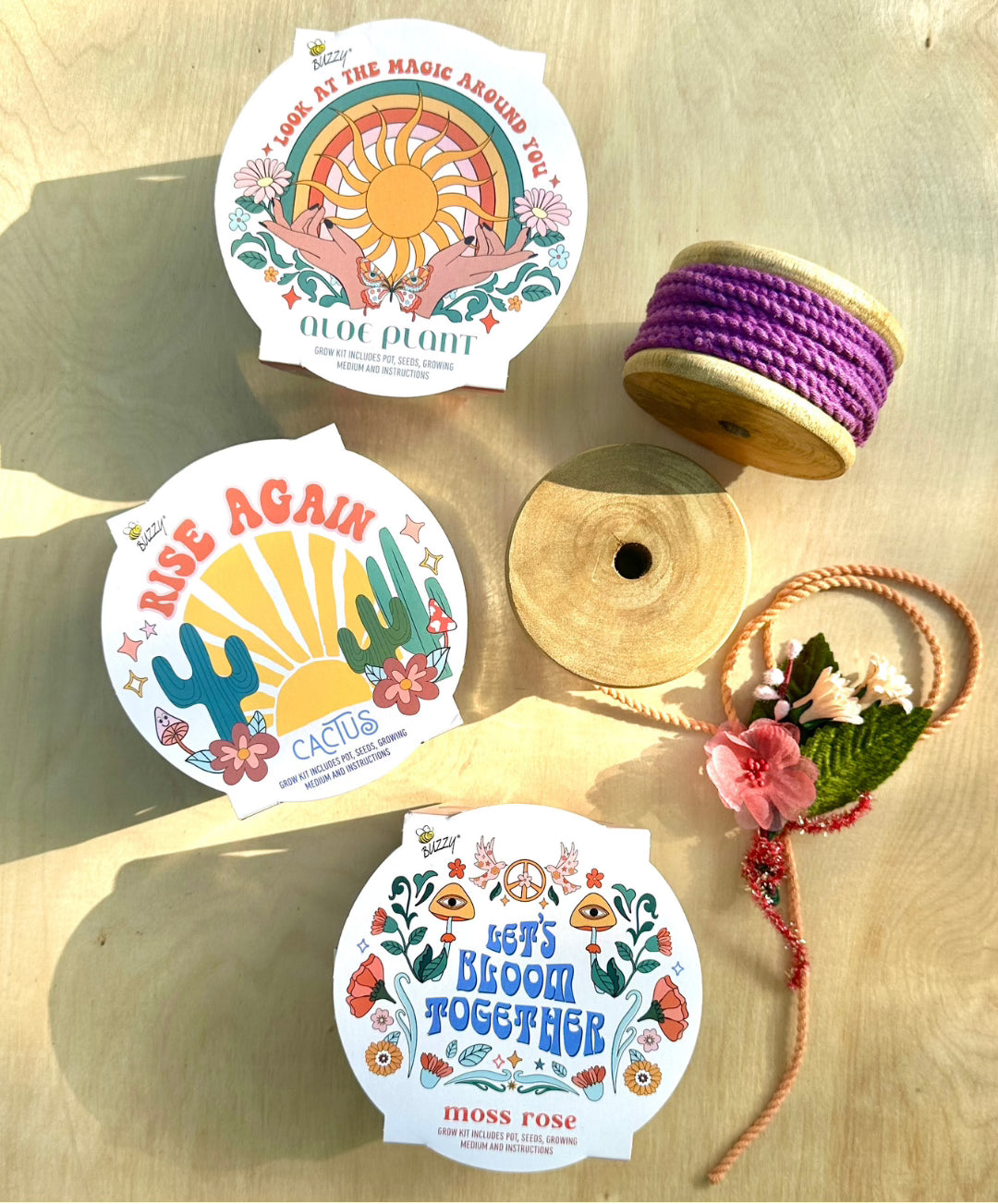 Mini Metal basin grow kits with Moss rose seeds, cactus and aloe plant.