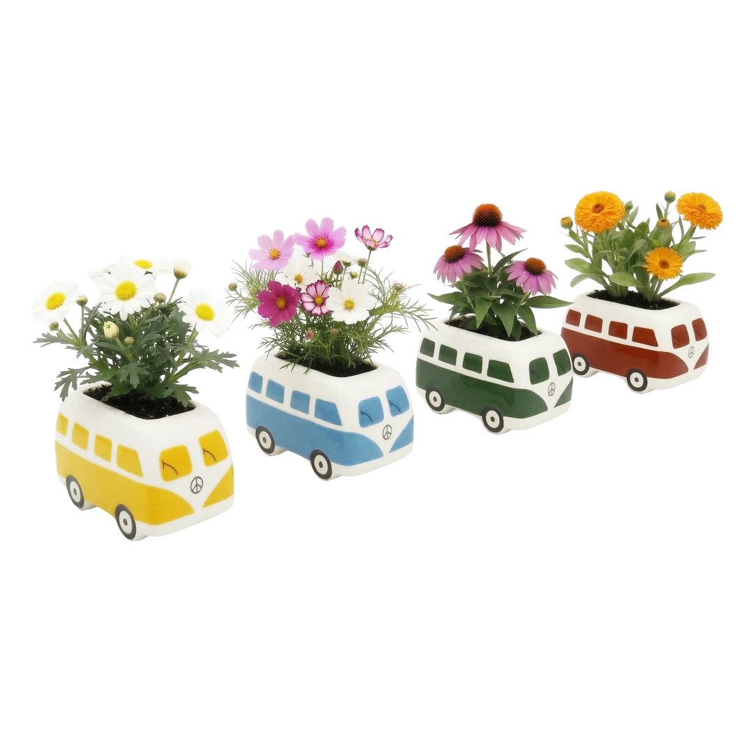 Ceramic Hippie Bus Flower Grow Kit Set – Buzzy Seeds